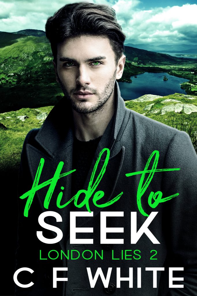 Hide to Seek Cover